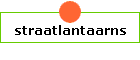 straatlantaarns