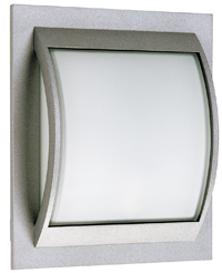 696202 zilver