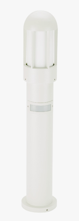 682002 wit