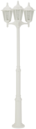 682099 wit