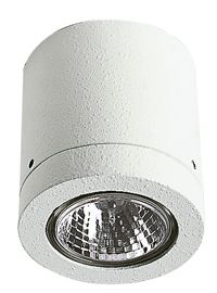 682140 wit