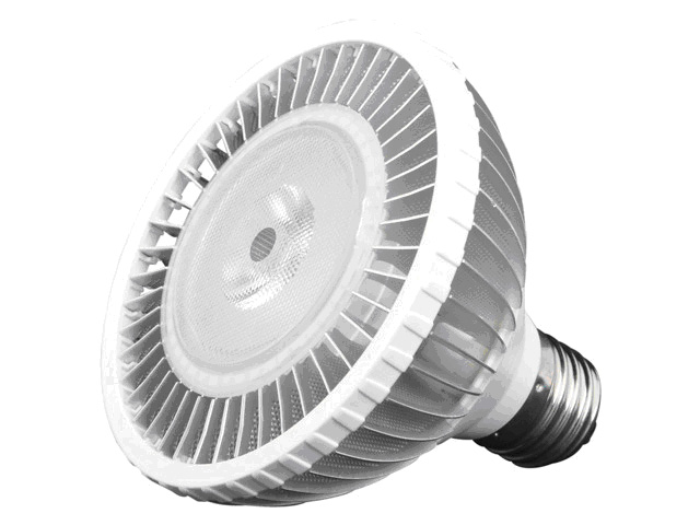PAR 30 LED1