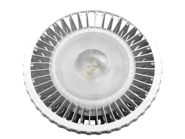 PAR 30 LED3
